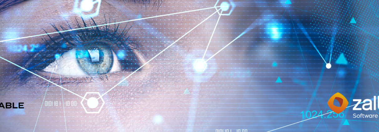 Software de gestión de TI